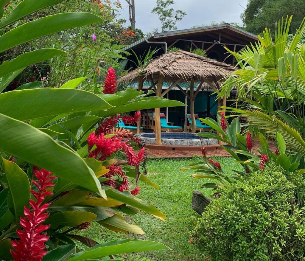 Casa Mambo Bed & Breakfast Cahuita Bagian luar foto