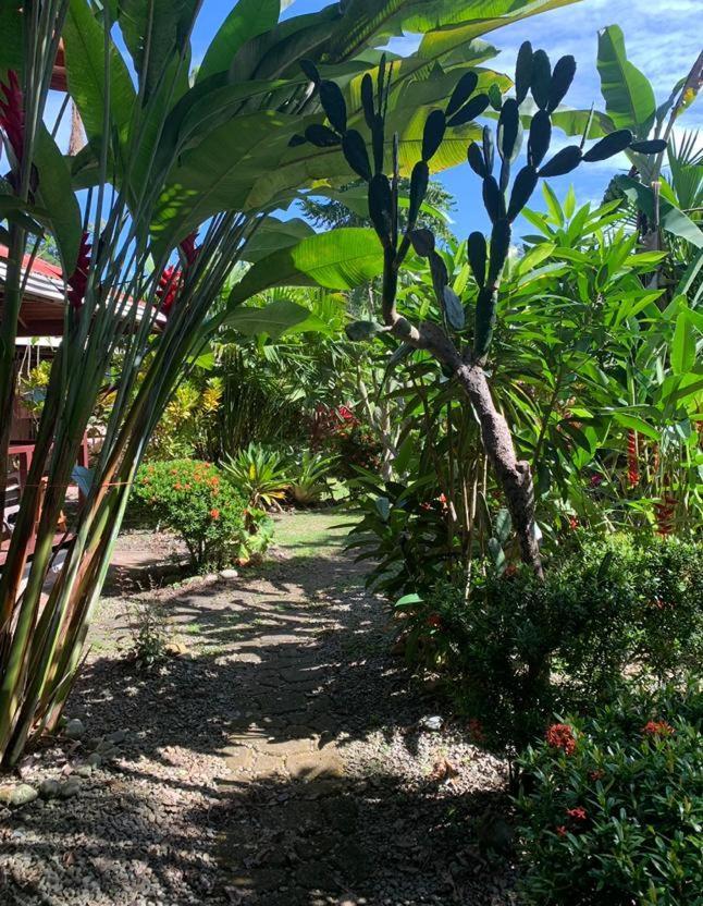 Casa Mambo Bed & Breakfast Cahuita Bagian luar foto