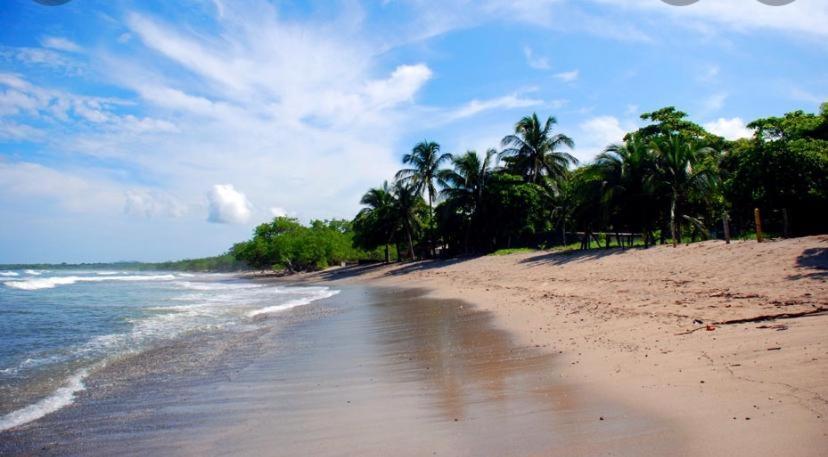 Casa Mambo Bed & Breakfast Cahuita Bagian luar foto